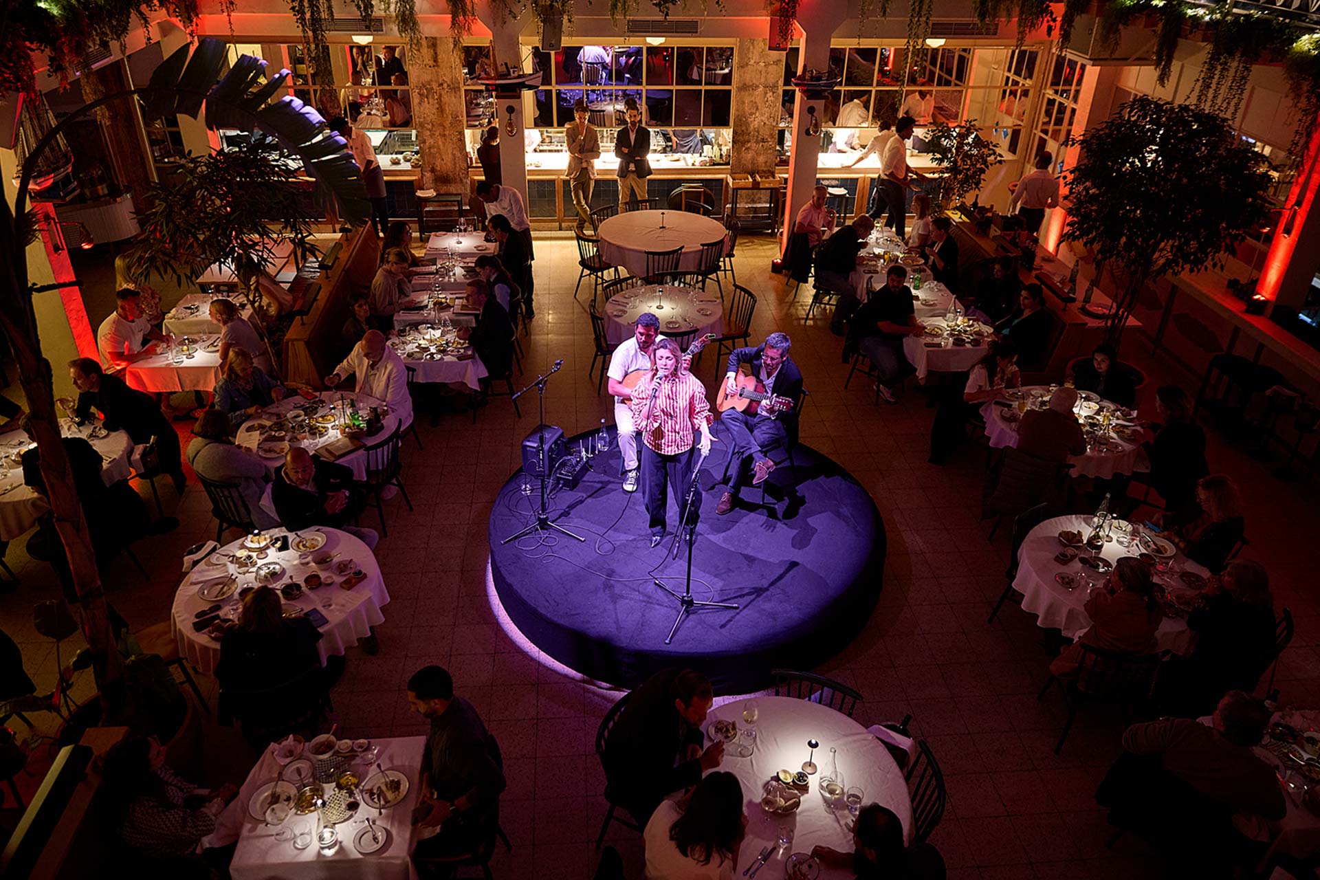 Live music performance in a bustling restaurant with diners at round and rectangular tables under warm red and purple lighting.